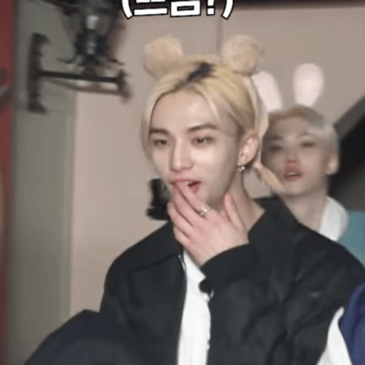 〆Hwang hyunjin 23