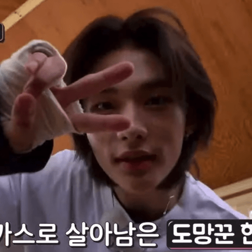 Hwang Hyunjin 11