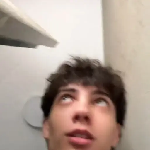 Samolepka