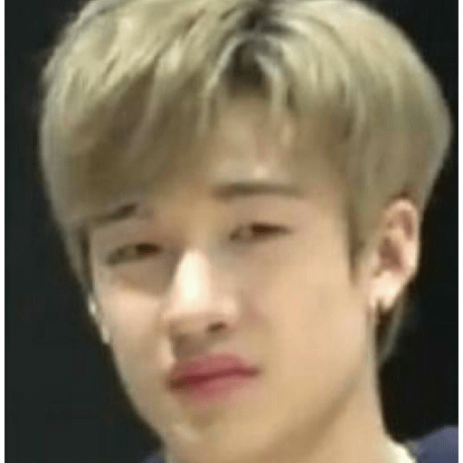 Kpop meme 13