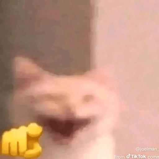 Random 24