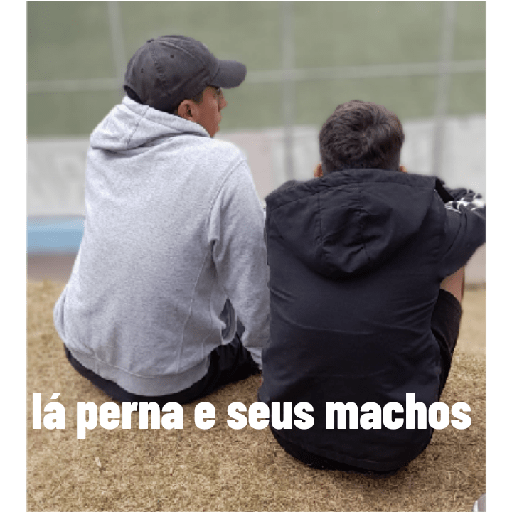 Sei lá 12