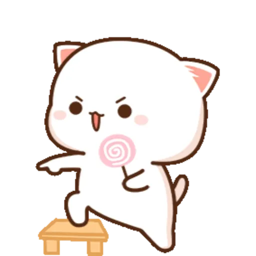 Mochi Peach cat 8 9