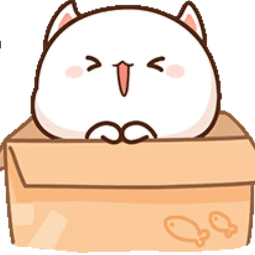 Mochi Peach cat 8 30