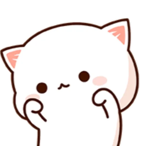 Mochi Peach cat 8 22