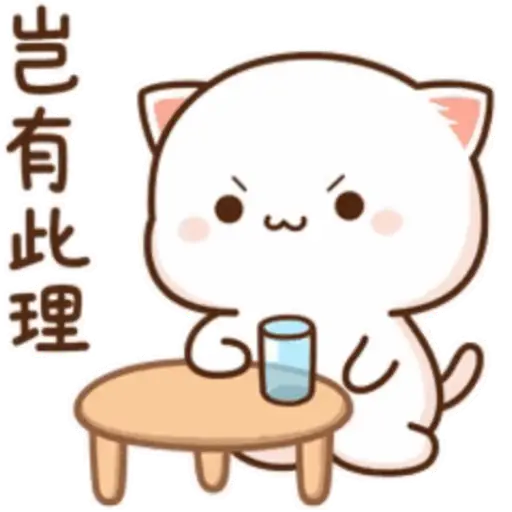 Mochi Peach cat 8 12