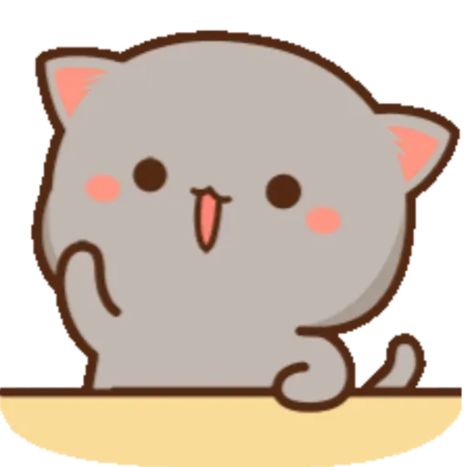 Mochi Peach cat 8 14