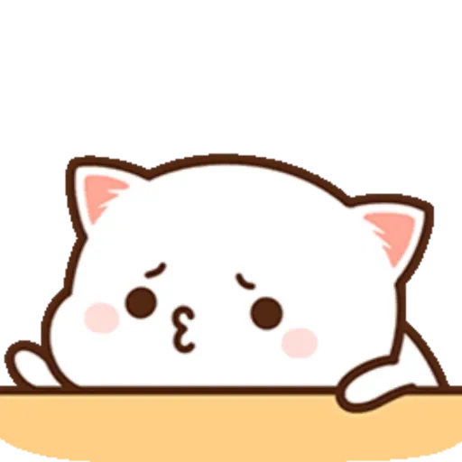 Mochi Peach cat 8 29