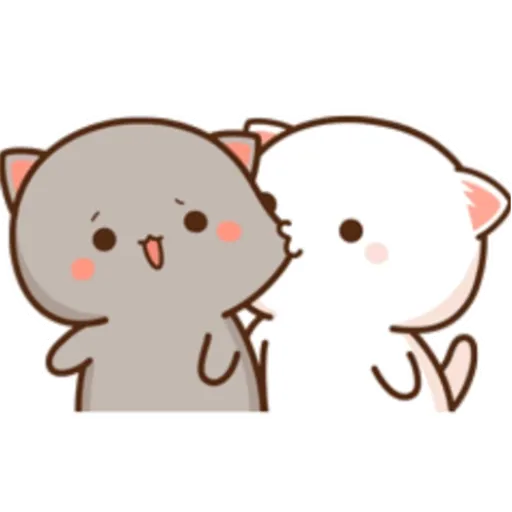 Mochi Peach cat 8 2
