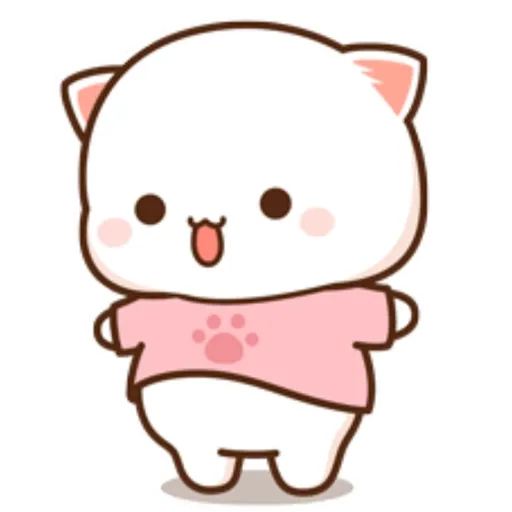 Mochi Peach cat 8 17