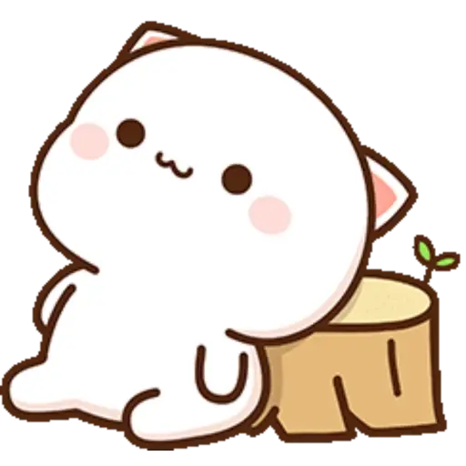 Mochi Peach cat 8 13