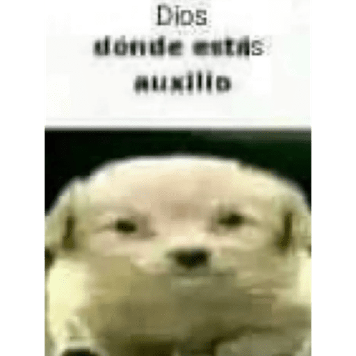 Ok.12 20