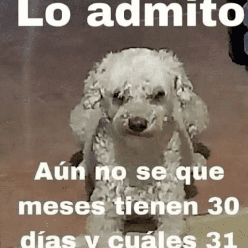 Ok.12 3