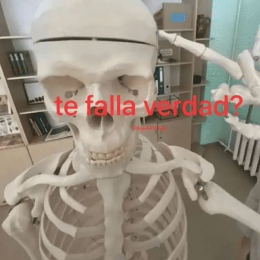 Ok.12 12