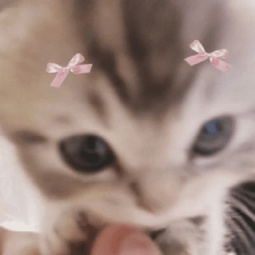 Kucing 2