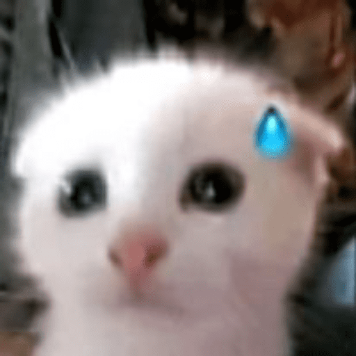 Kucing 3