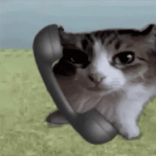 Kucing 4