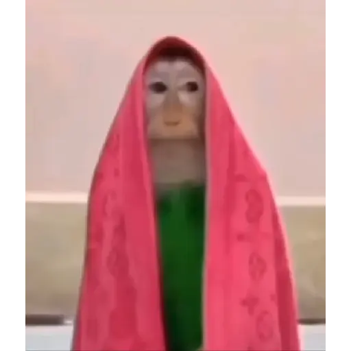Ok ok ok 1