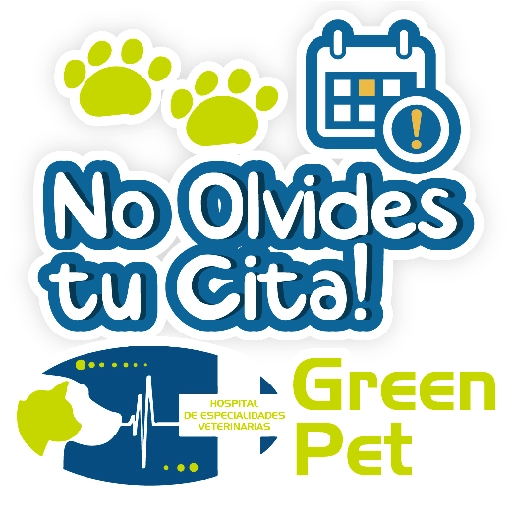 Green PET frases 2