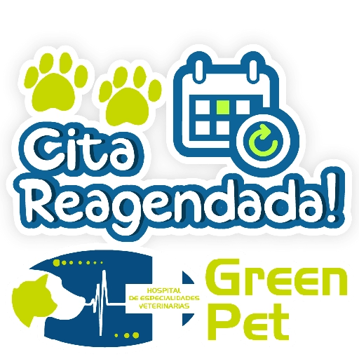 Green PET frases 3