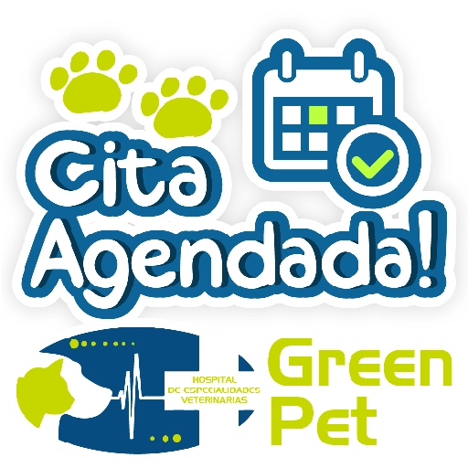 Green PET frases 4