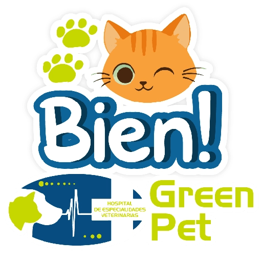 Green PET frases 5