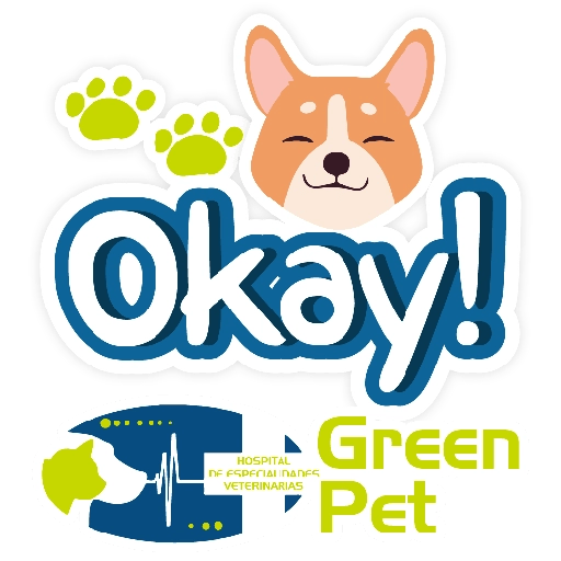 Green PET frases 6