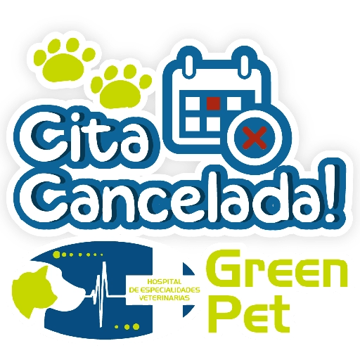 Green PET frases 7