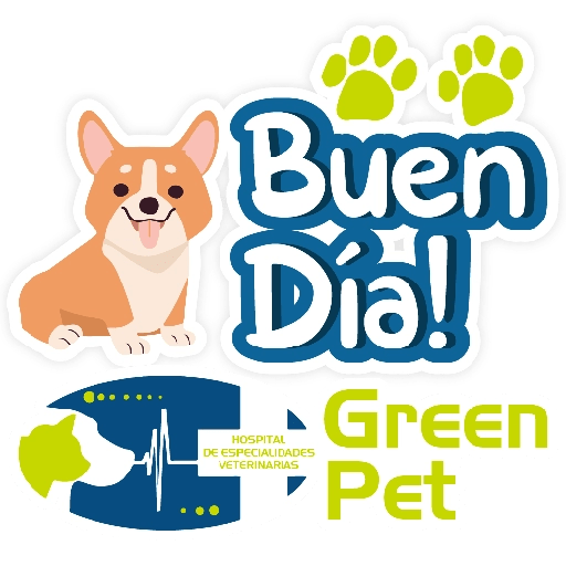 Green PET frases 15