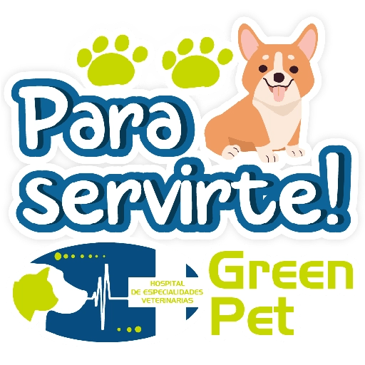 Green PET frases 11