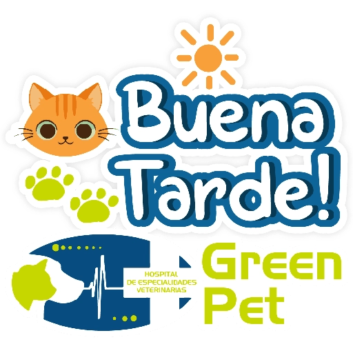 Green PET frases 16