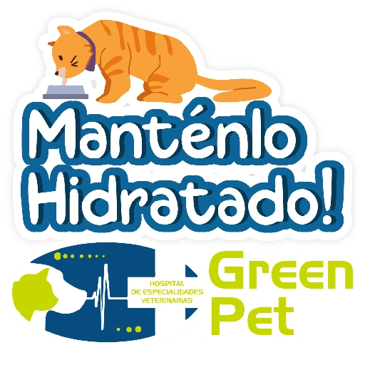 Green PET frases 12
