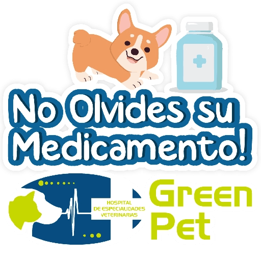 Green PET frases 13