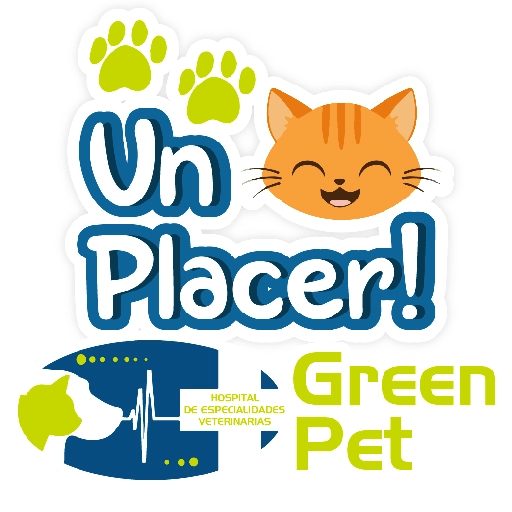 Green PET frases 18