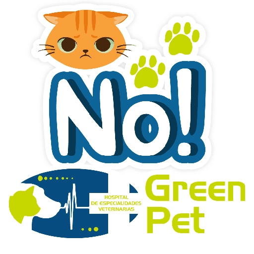 Green PET frases 19