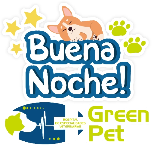 Green PET frases 20