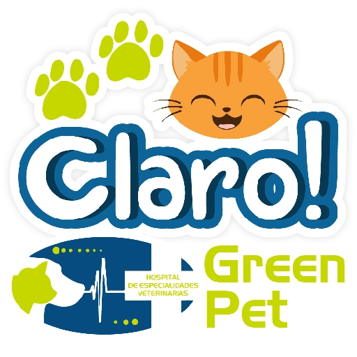 Green PET frases 21
