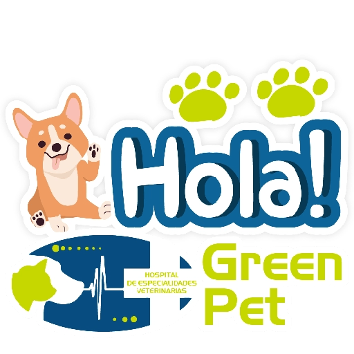 Green PET frases 22