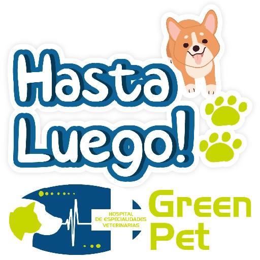 Green PET frases 23