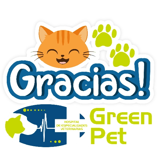 Green PET frases 24