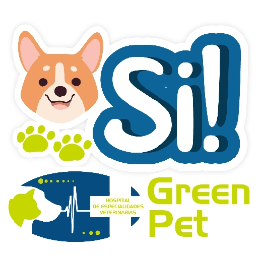 Green PET frases 25