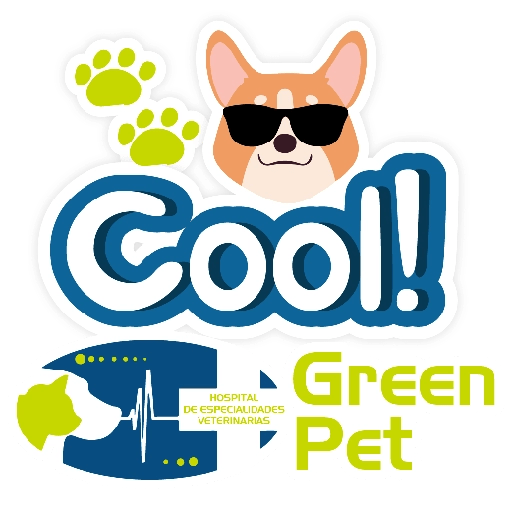 Green PET frases 26