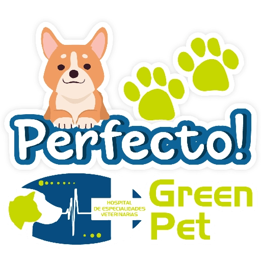 Green PET frases 27