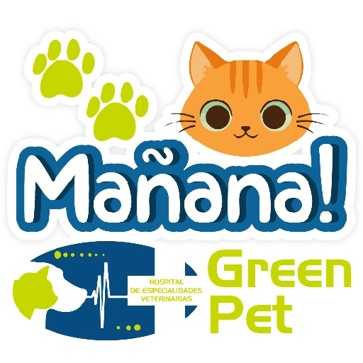 Green PET frases 28