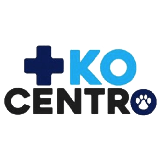 +KO frases 1