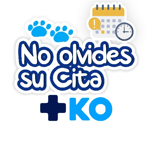 +KO frases 7