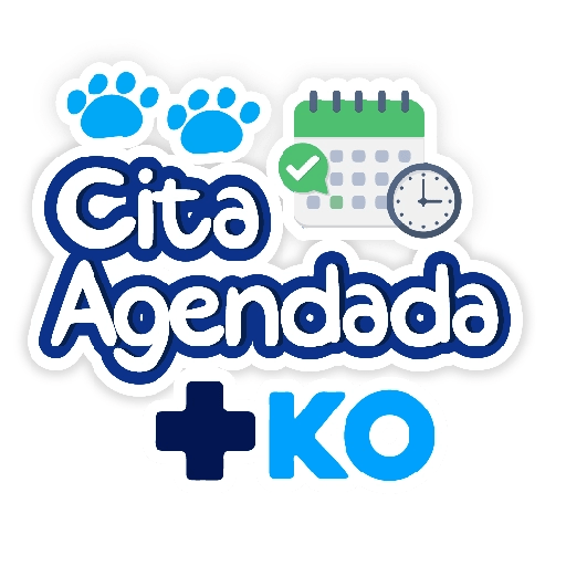 +KO frases 12