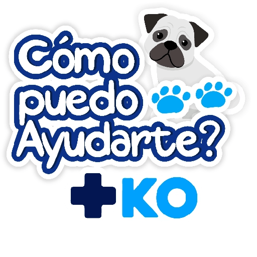 +KO frases 15