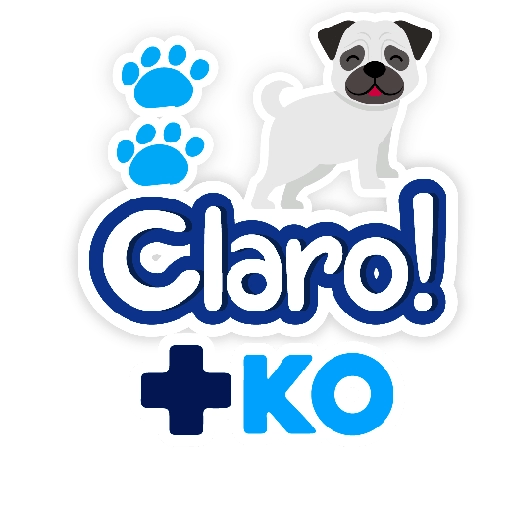 +KO frases 16