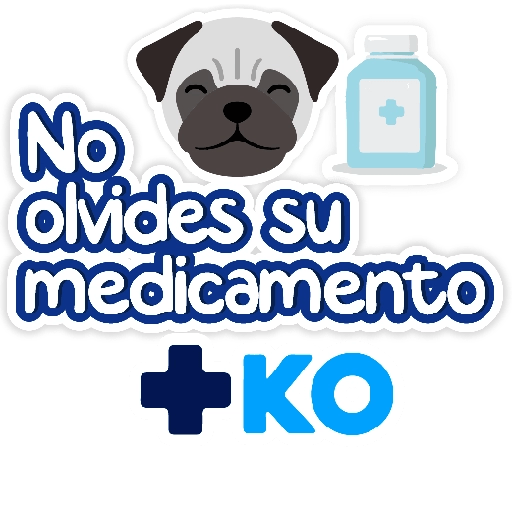 +KO frases 20